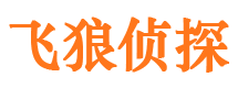 深圳市私家侦探